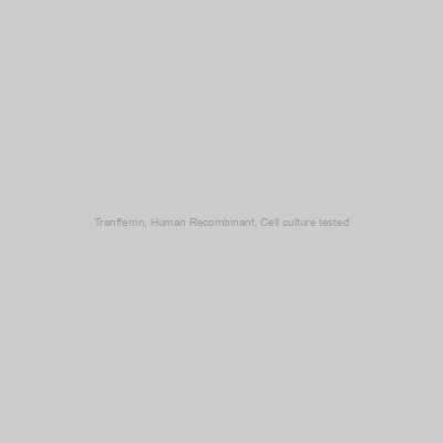 Tranfferrin, Human Recombinant, Cell culture tested